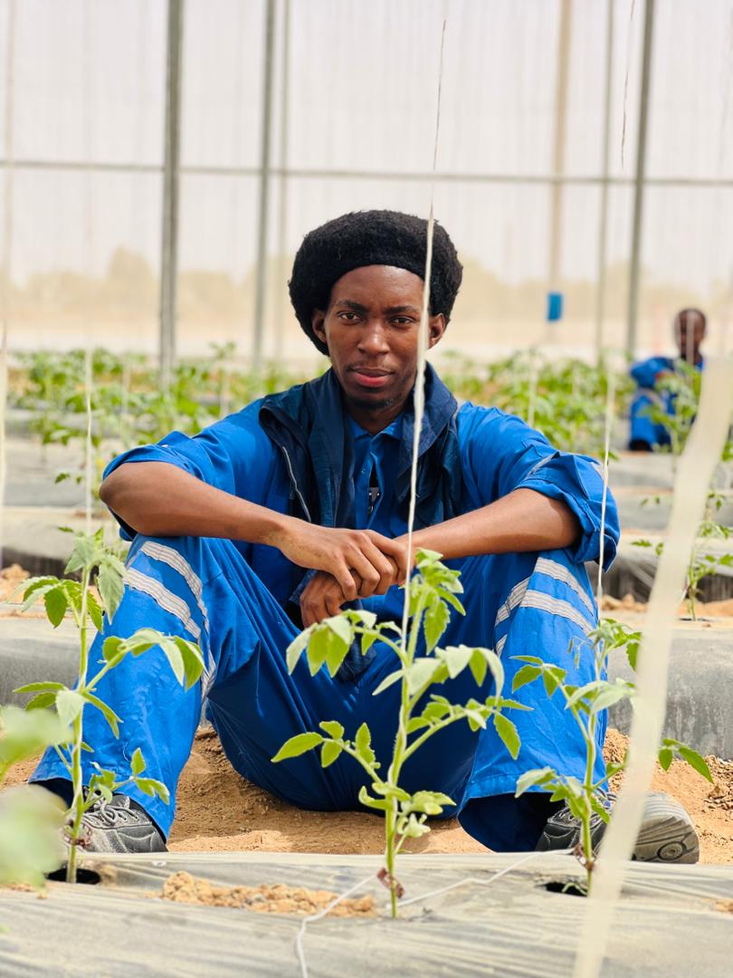 Agricultural worker in a greenhouse